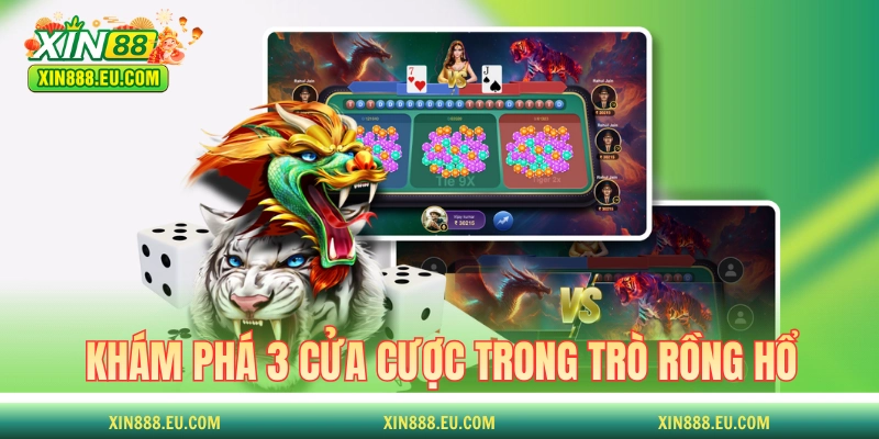 Khám phá 3 cửa cược trong trò Rồng Hổ