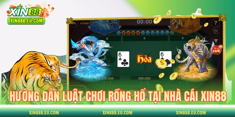 Hướng dẫn luật chơi Rồng Hổ tại nhà cái XIN88