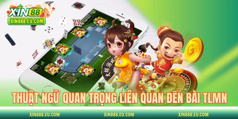 Các thuật ngữ quan trọng liên quan đến bài TLMN