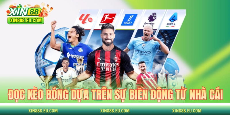 Cách đọc kèo bóng dựa trên sự biến động từ nhà cái