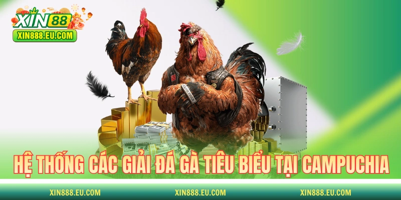 Hệ thống các giải đá gà tiêu biểu tại Campuchia