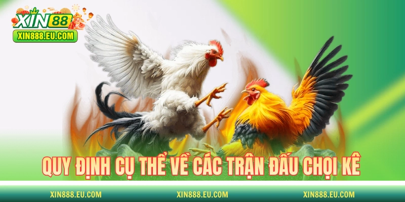 Quy định cụ thể về các trận đấu chọi kê chuyên nghiệp