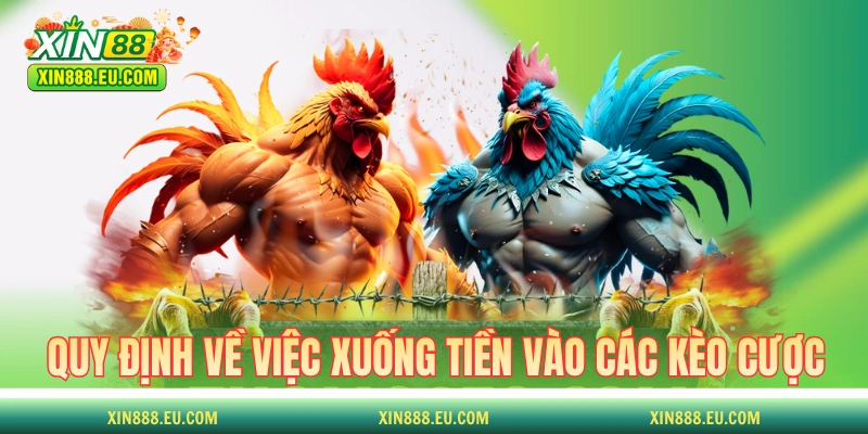 Quy định về việc xuống tiền vào các kèo cược